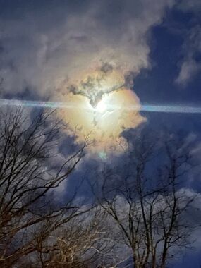 Meet your Posher, Rebeccah